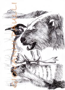 Artic and antartic animals