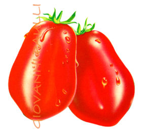 San Marzano tomato